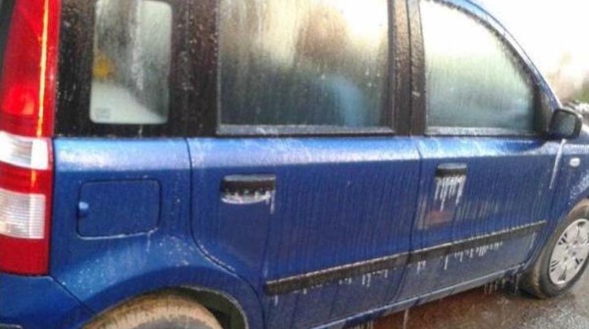 Ortaca, K&ouml;yceğiz Ve Dalaman'da Zirai Don