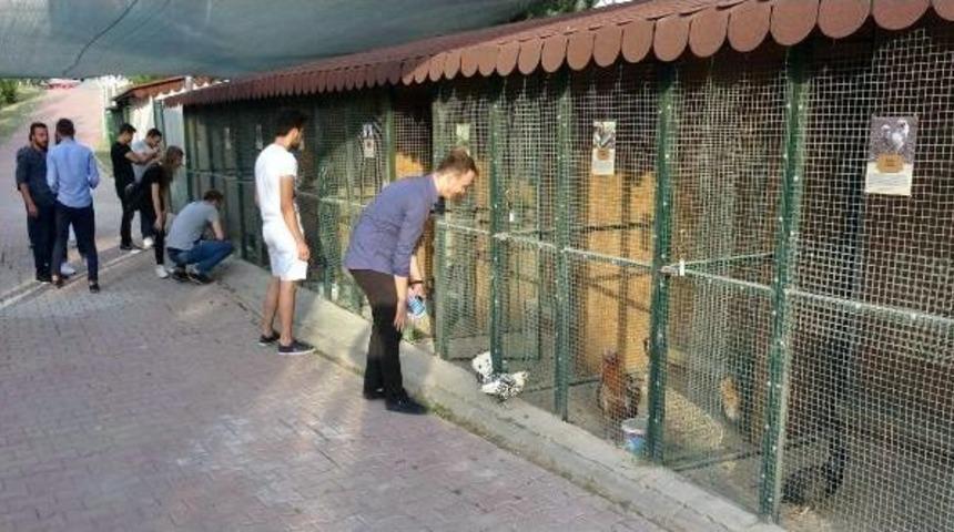 Rekt&ouml;r&uuml;n Isteğiyle S&uuml;s Tavuklarını &Uuml;niversiteye Taşıdı