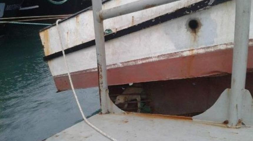 DENİZE DÜŞEN KÖPEK İÇİN SEFERBER OLDULAR