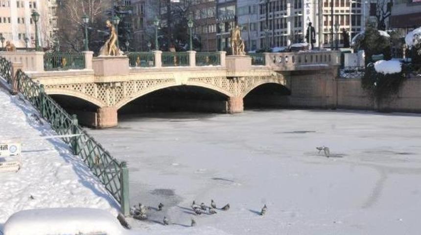 Porsuk &Ccedil;ayı Dondu