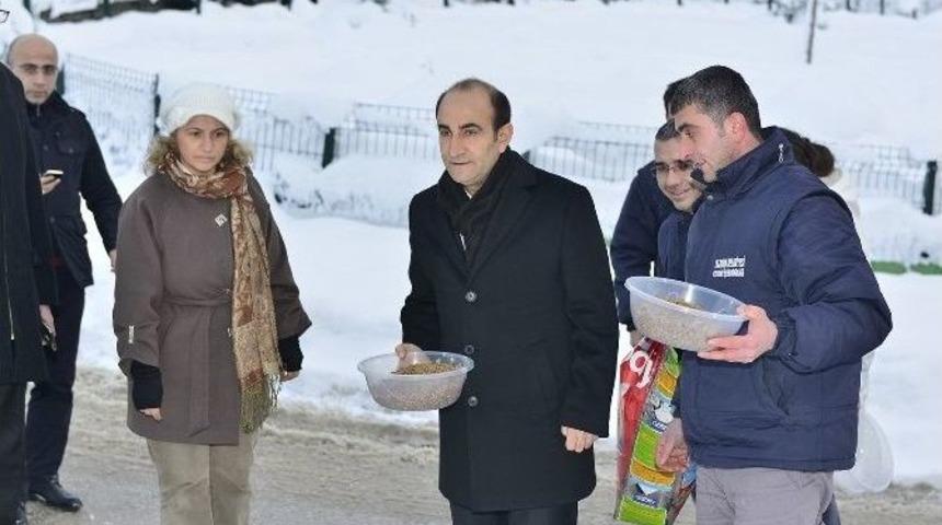 Başkan Edebali Sokak Hayvanlarına Yem Dağıttı