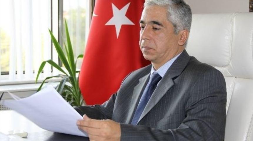 Kar Ve R&uuml;zgar Zeytin Dallarını Kırdı