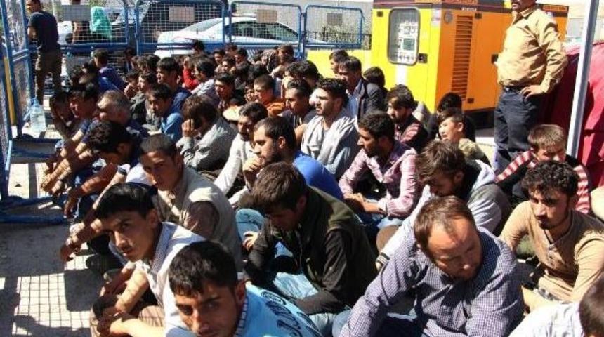 54 Kişilik Otob&uuml;ste 118 M&uuml;lteci