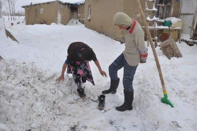 Öğretmen Ilgisi 4 Kardeşin Dramını Ortaya Çıkardı