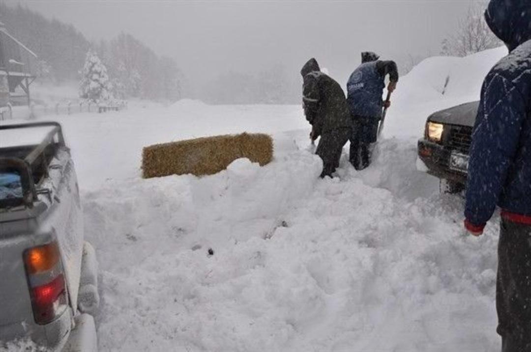 Cide&rsquo;de Yaban Hayvanları Yemlendi