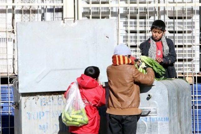 Çöpe Atılan Meyve Sebzeler Suriyeli Çocukları Sevindirdi