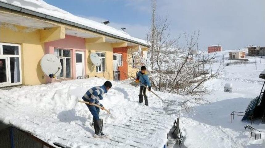Sincik&rsquo;te Don Ve Tipi Hayatı Olumsuz Etkiliyor