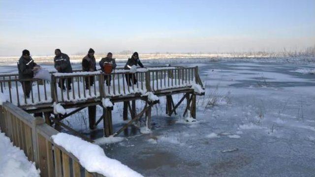 Düzce'de Yabani Hayvanlar Için Doğaya Yem Bırakıldı