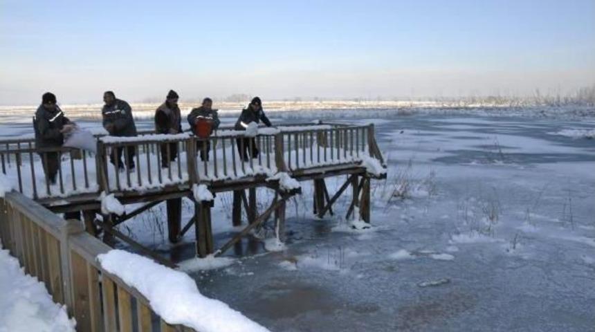 D&uuml;zce'de Yabani Hayvanlar I&ccedil;in Doğaya Yem Bırakıldı
