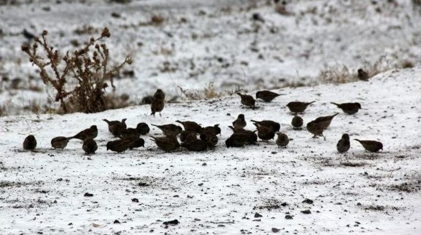 Erzurum&rsquo;da Kar Yağışı
