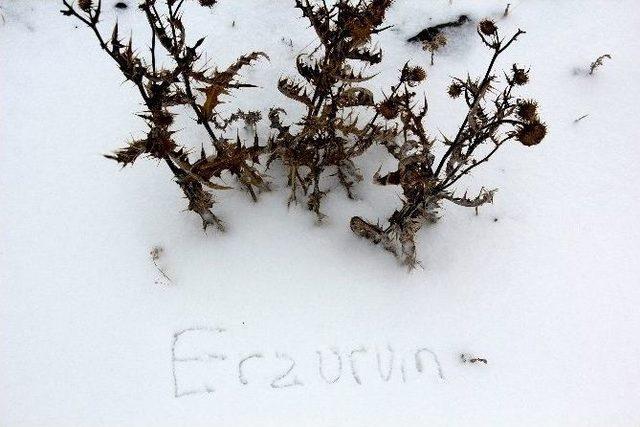 Erzurum&rsquo;da Kar Yağışı 1