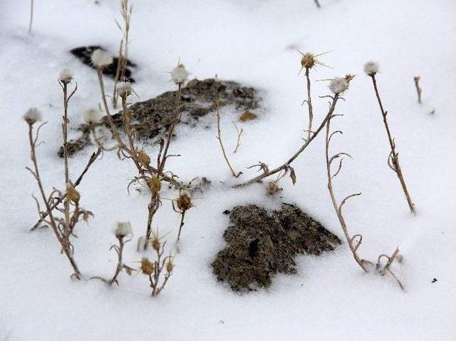 Erzurum&rsquo;da Kar Yağışı 2
