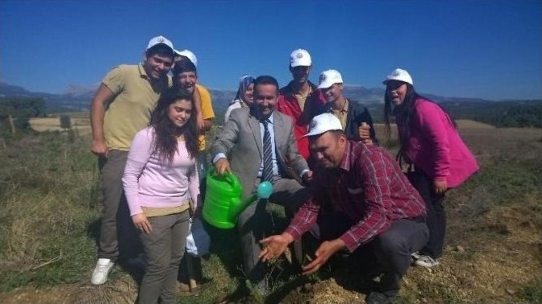 Fidan Dikmede Şampiyon Oldular