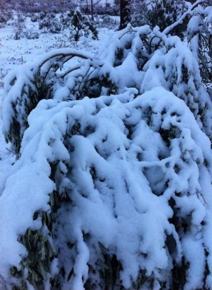 Mut’a 10 Yıl Aradan Sonra Kar Yağdı G4