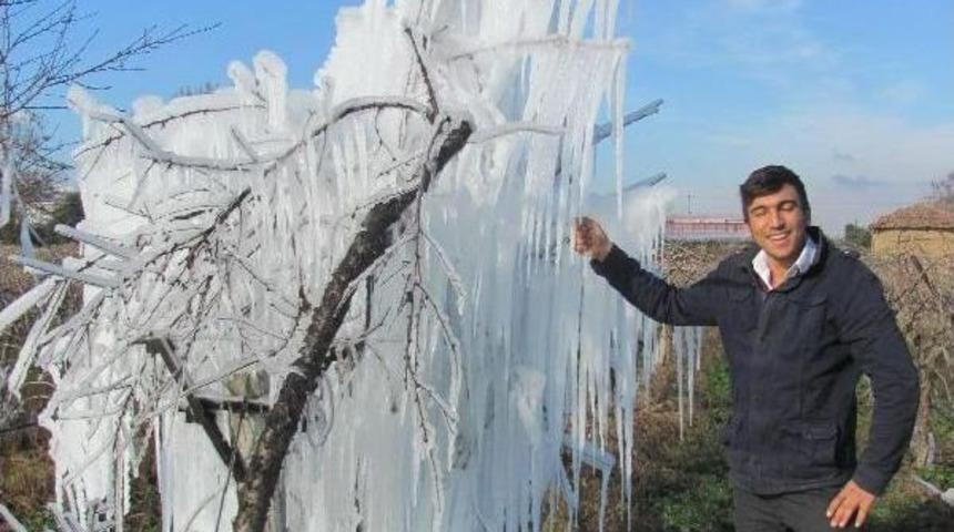 Buz Ağa&ccedil; Heykeli