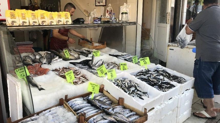 Balık Tezgahlarında Palamut 5 Liraya D&uuml;şt&uuml;