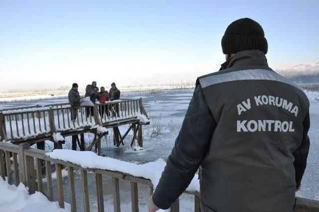 Düzce Milli Parklar Şubesi Ekipleri Yabani Hayvanlara Yem Bıraktı