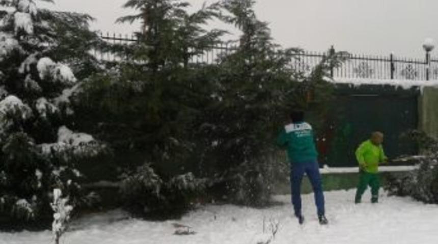 Ağa&ccedil;lardaki Karlar Temizleniyor