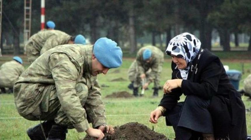 ŞEHİT AİLELERİ VE GAZİLER KOMANDOLARLA FİDAN DİKTİ