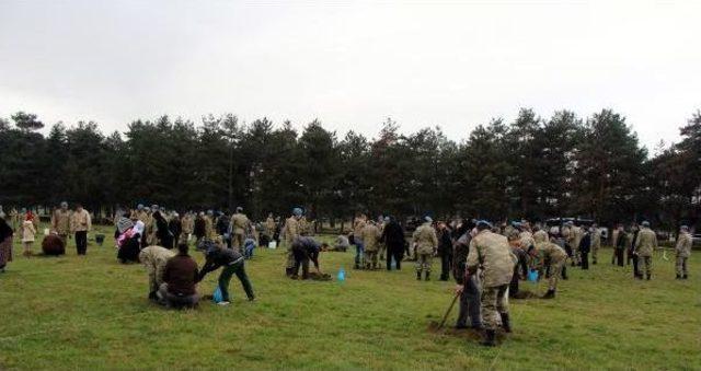 ŞEHİT AİLELERİ VE GAZİLER KOMANDOLARLA FİDAN DİKTİ 2