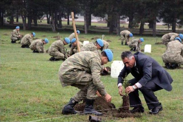 ŞEHİT AİLELERİ VE GAZİLER KOMANDOLARLA FİDAN DİKTİ 3