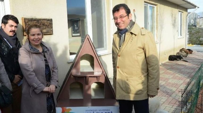 Beylikd&uuml;z&uuml; Belediyesi&rsquo;nden Sokak Kedilerine &ldquo;kedi Villası&rdquo;