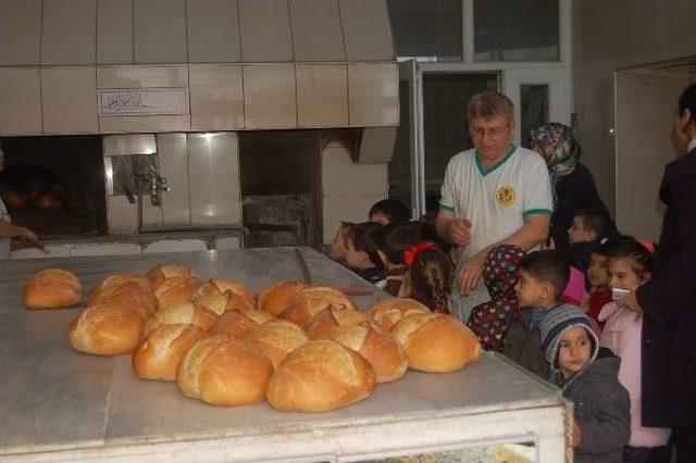 Kreş Öğrencileri Ekmek Yapmayı Öğrendi