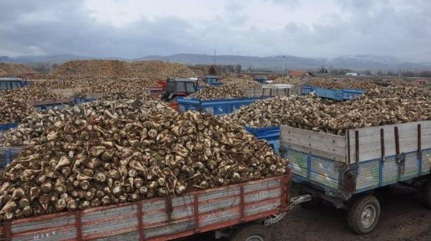 Sandıklı&rsquo;da &Ccedil;ift&ccedil;inin Pancar Teslim &Ccedil;ilesi