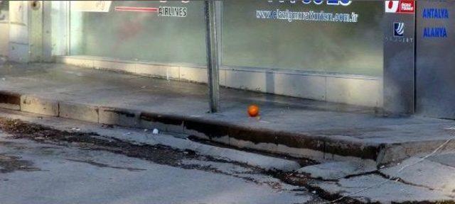 Şüpheli Poşetten Portakal Çıktı 2