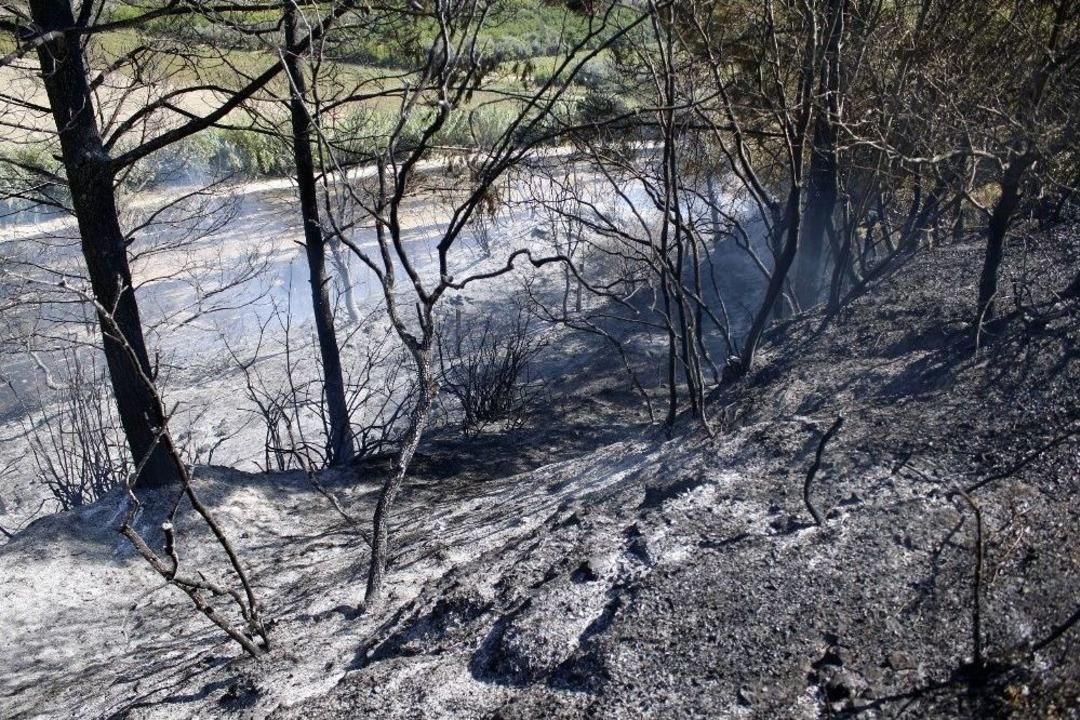 Antalya&rsquo;da Orman Yangını