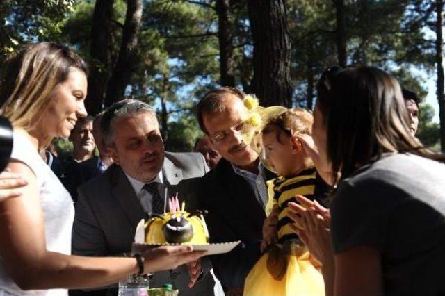 Başbakan Yardımcısı Hakan Çavuşoğlu, Hafız Çocuklara Sertifikalarını Verdi (3)