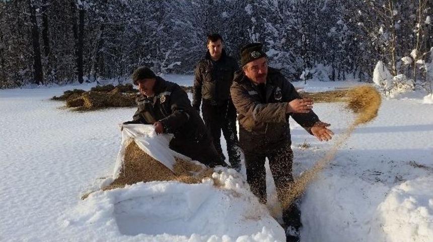 Yaban Hayvanları İ&ccedil;in Yem Bırakıldı