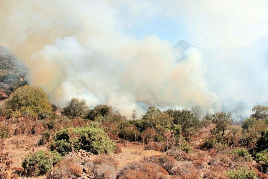 Alevler Evlere 5 Metre Kala S&ouml;nd&uuml;r&uuml;ld&uuml;