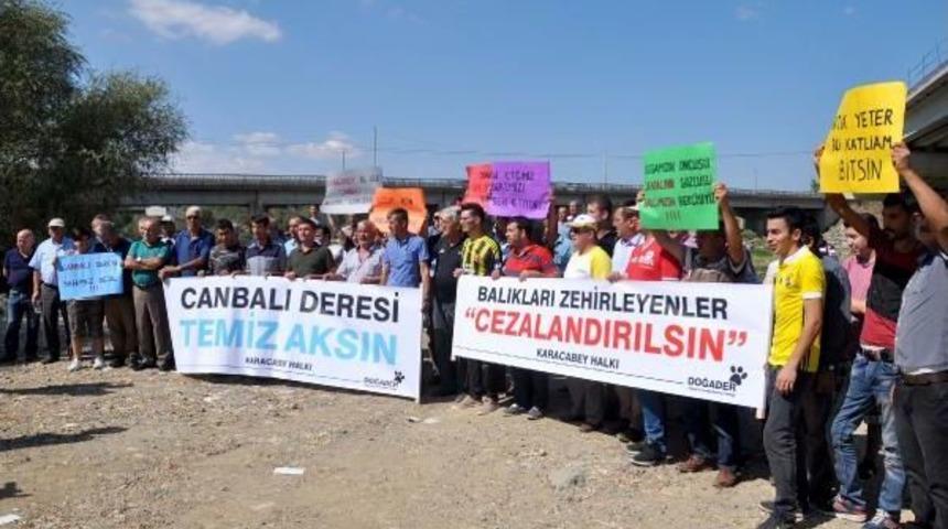 Karacabey'deki Balık &Ouml;l&uuml;mleri Protesto Edildi