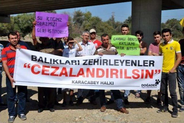 Karacabey'deki Balık Ölümleri Protesto Edildi