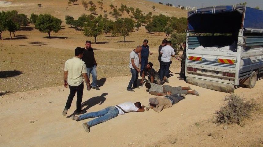 2,5 Ton &Uuml;z&uuml;m&uuml; &Ccedil;alan Dolandırıcılar Su&ccedil;&uuml;st&uuml; Yakalandı