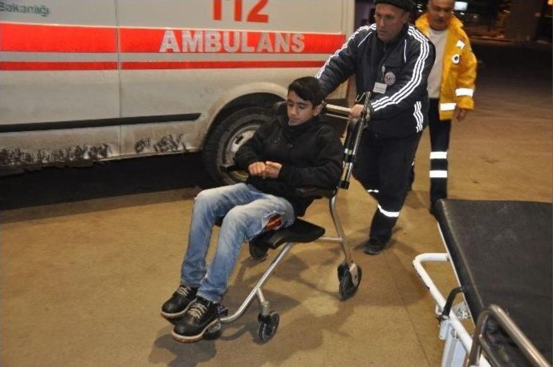 Başıboş K&ouml;pekler Vatandaşın Kabusu Oldu