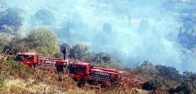 Turgutreis te Korkutan Yangın 1