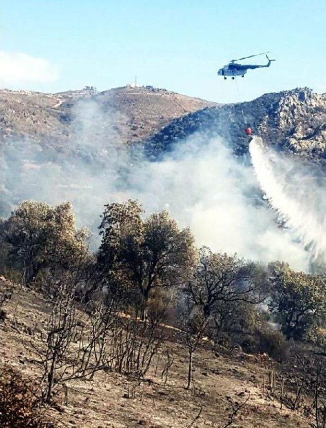 Turgutreis te Korkutan Yangın 3