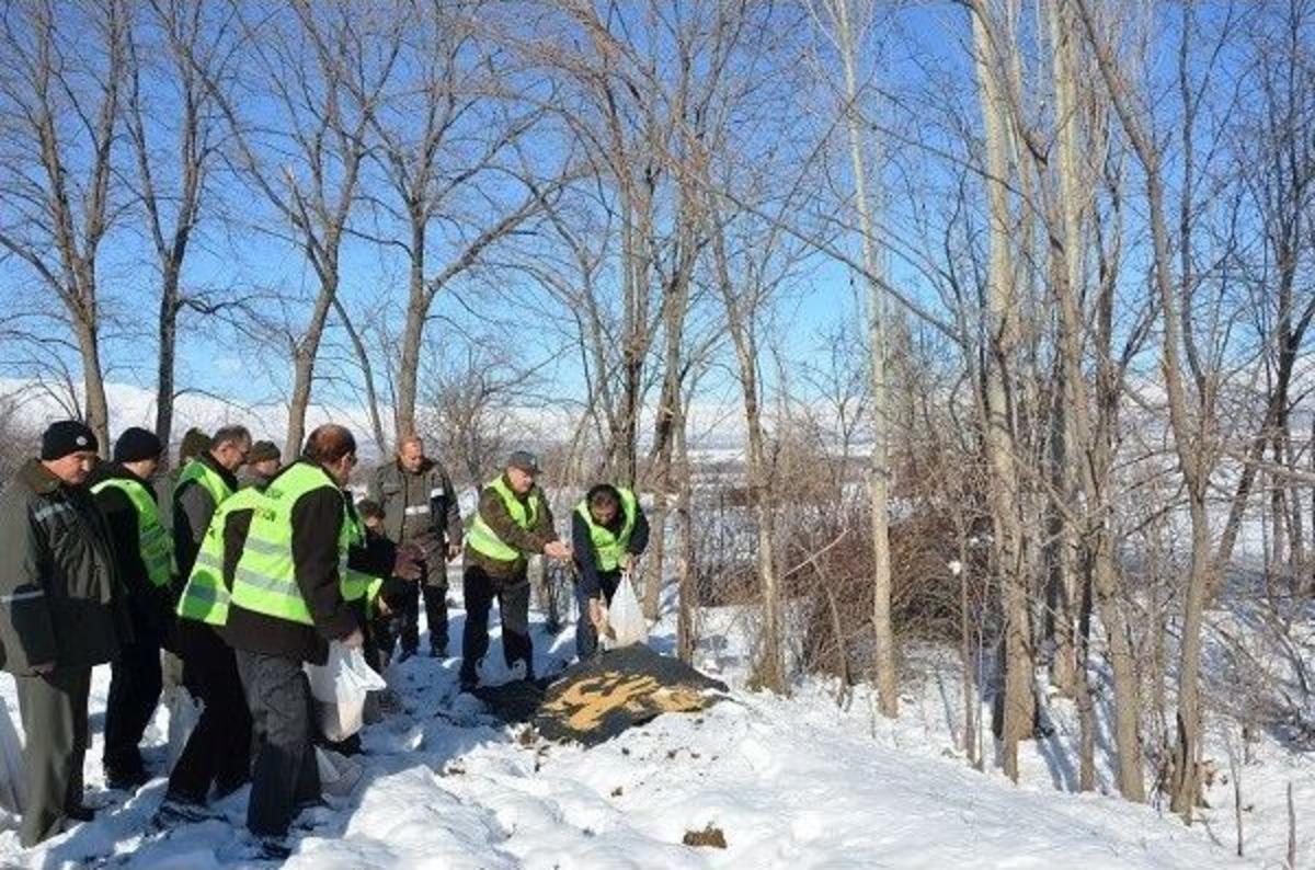 Sokak Hayvanları İ&ccedil;in &ldquo;erzincan Yabana Can&rdquo; Katıyor