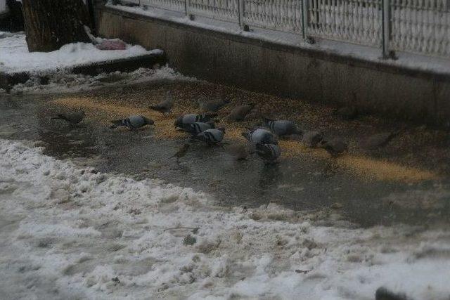 Yozgat’ta Kar Hayatı Olumsuz Etkiledi 1