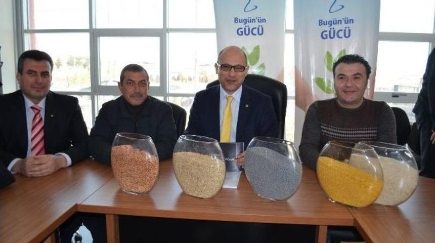 Uşak&rsquo;ta Hububat D&uuml;şt&uuml;, Bakliyat Arttı