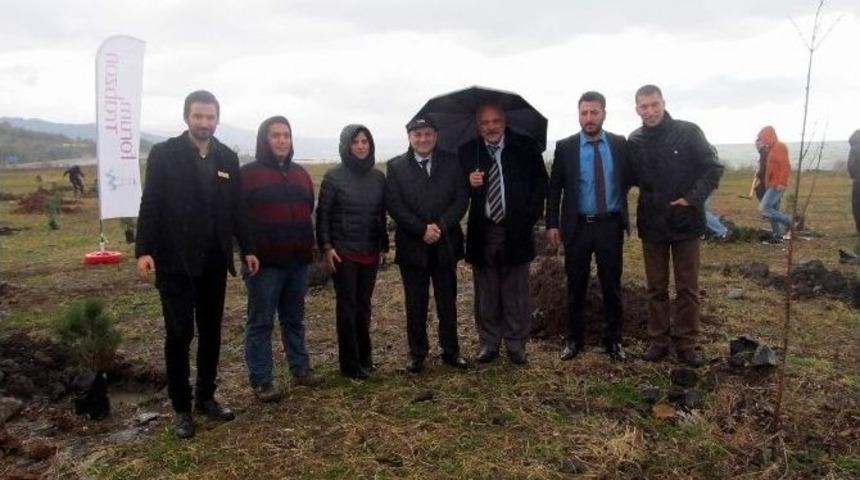 Forum Trabzon Hatıra Ormanı İ&ccedil;in İlk Fidanlar Toprakla Buluştu