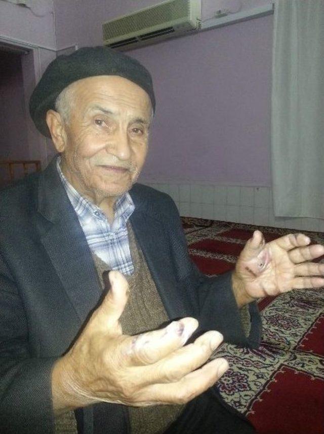 Yarım Asırlık Çiftçi Hazır Tohumlara İsyan Etti 1