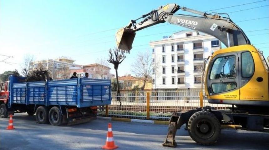 Torbalı&rsquo;da Ağa&ccedil;lar Kesilmiyor