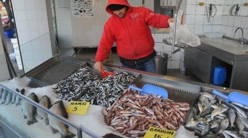 Hamsinin Kulağına Kar Suyu Ka&ccedil;tı