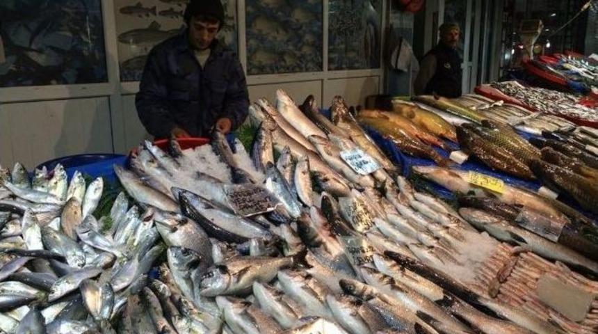 Soğuk Havalar Balık Fiyatlarını Etkilemedi