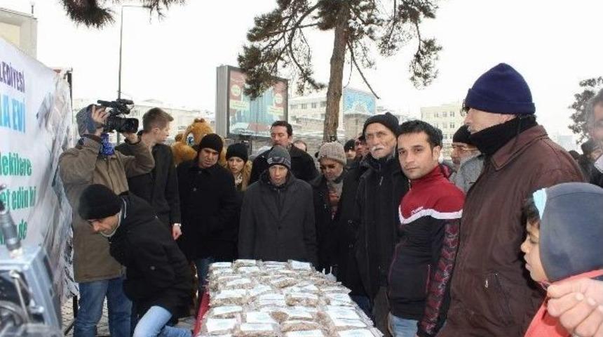 Sokak Hayvanları İ&ccedil;in Mama Dağıtıldı