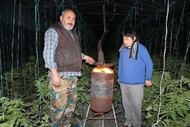 Mersin de &Uuml;reticinin Don &Ouml;nlemi 1