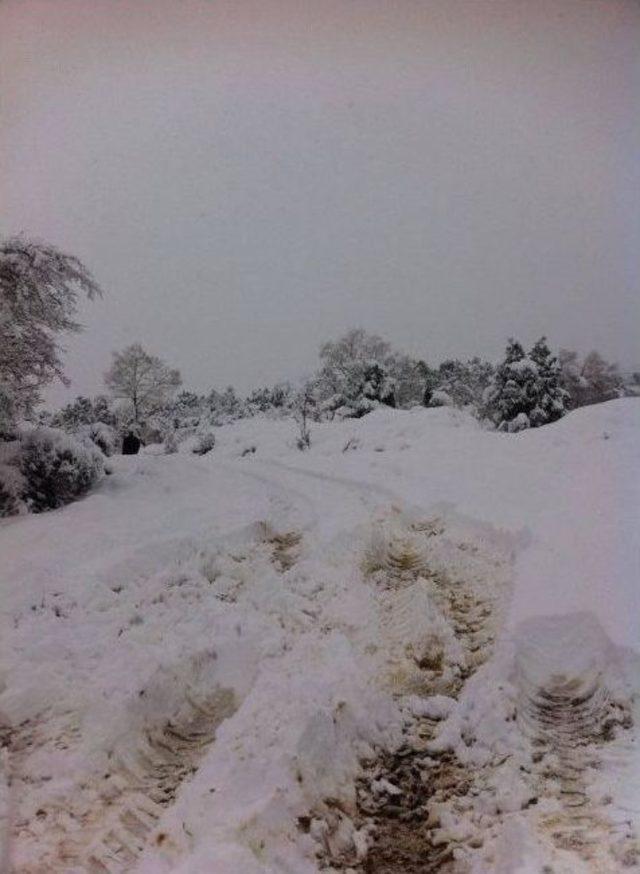 Bayırk&ouml;y Belde Belediyesi Kapanan Mahalle Yollarını A&ccedil;maya Devam Ediyor 2